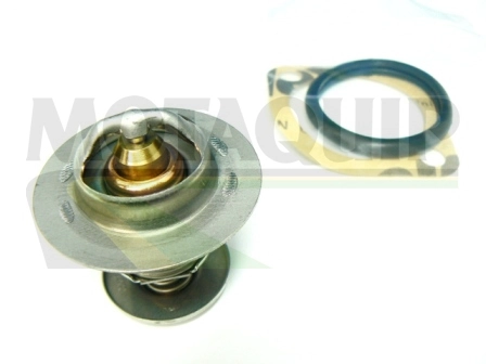 VTK25