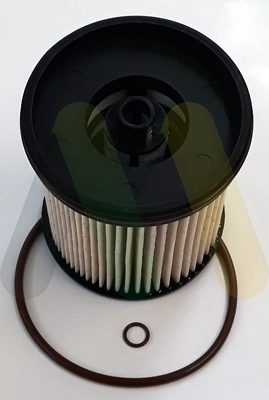 LVFF811