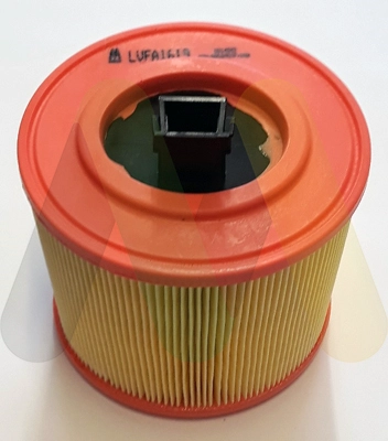 LVFA1619