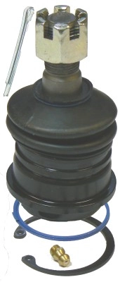 LVSJ818