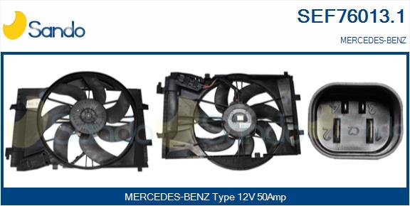 SEF76013.1