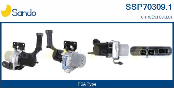 SSP70309.1
