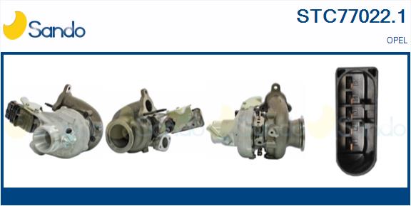 STC77022.1