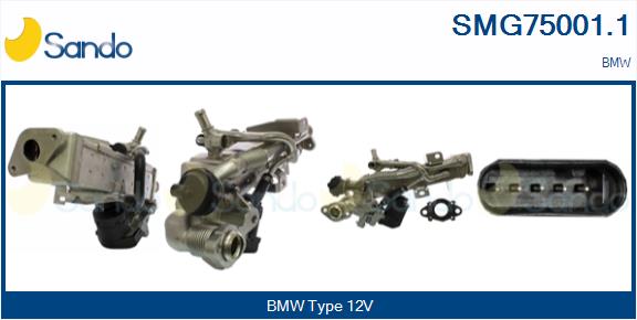 SMG75001.1