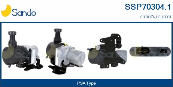 SSP70304.1