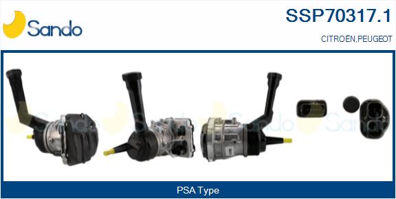 SSP70317.1
