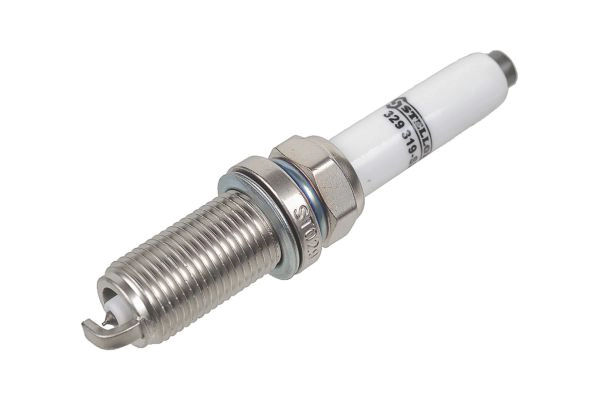 329 319-SX