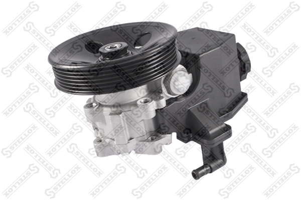 24668301