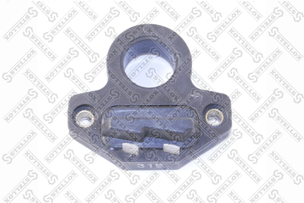 30130P06006