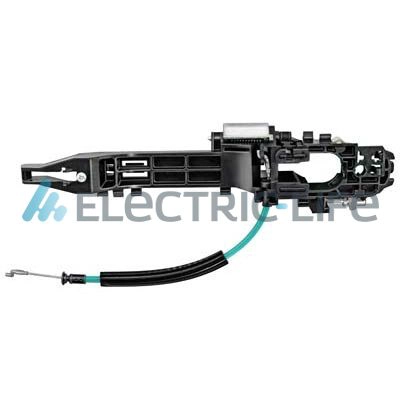 ZR80619