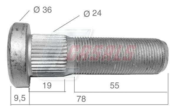21541