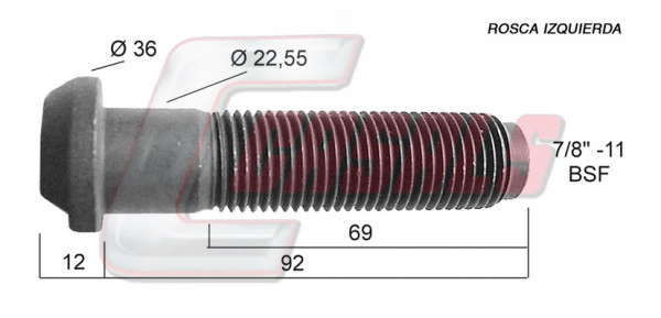 21304
