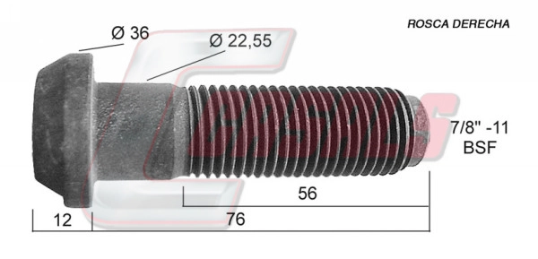 21295