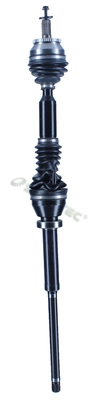 VO184R