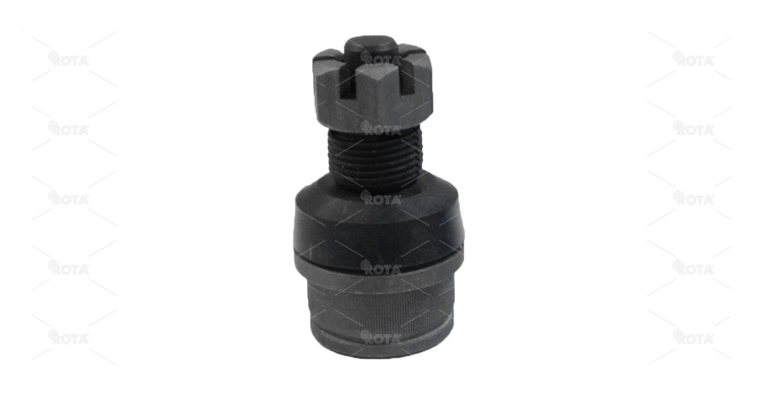 K8194T