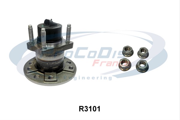 R3101