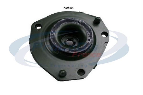 PCM029