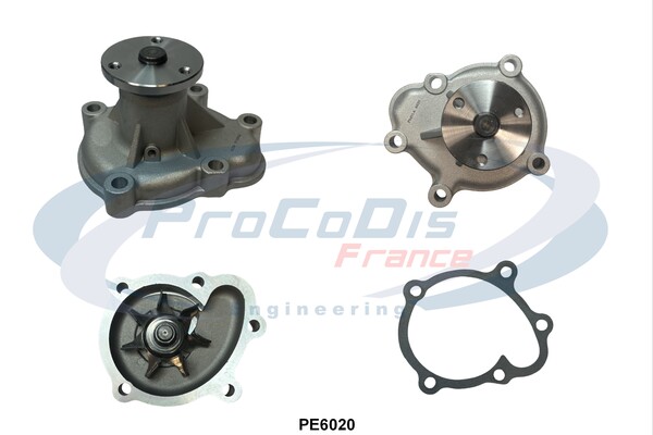 PE6020