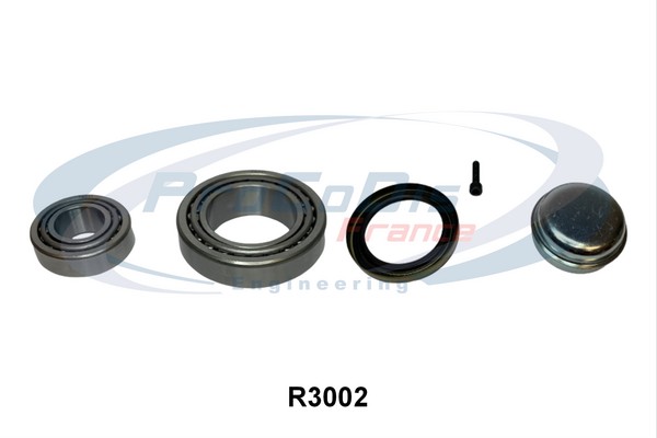 R3002