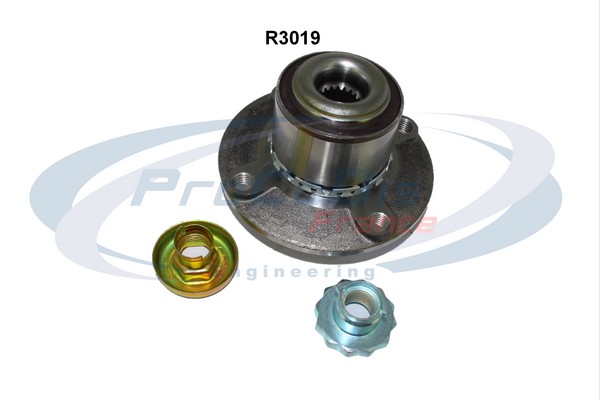R3019