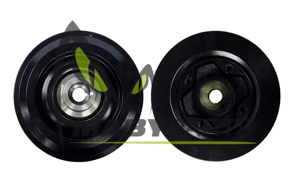 ODP121036