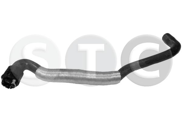 T498619