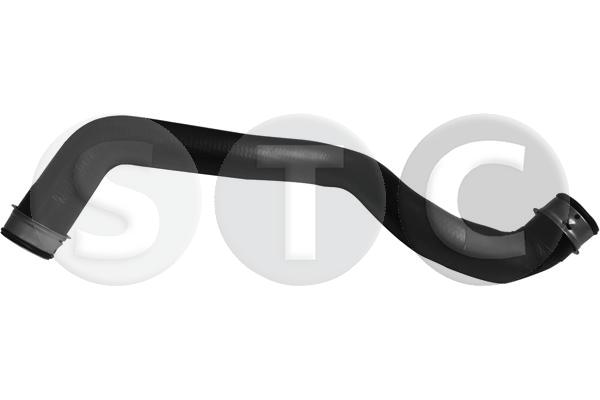 T497798