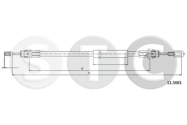 T481856