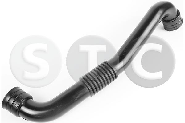 T438813