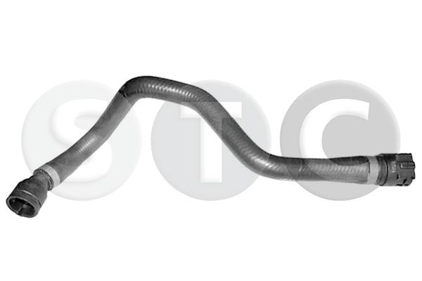 T498562