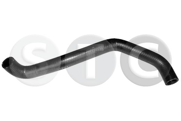 T498668