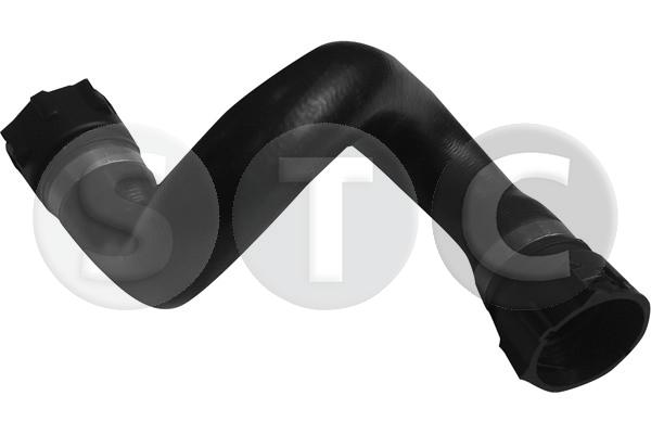 T497808