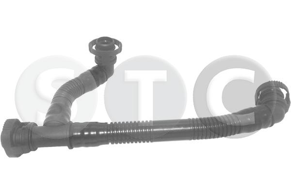 T435037