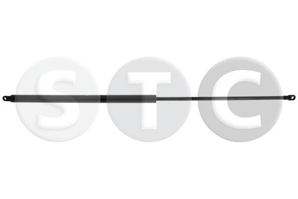 T446307