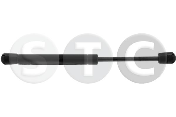 T446667