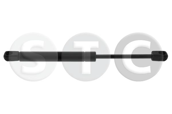 T446695
