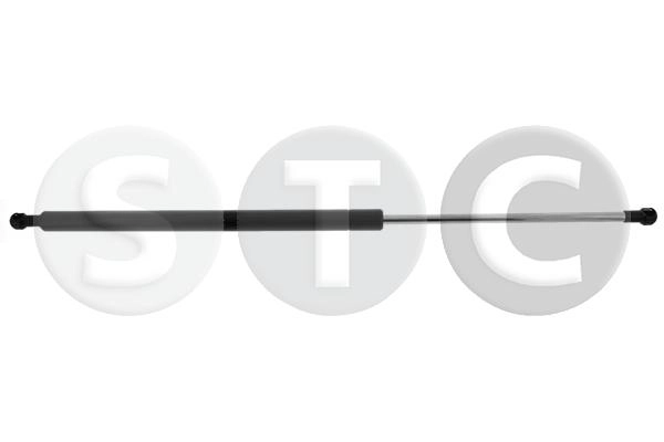 T446650