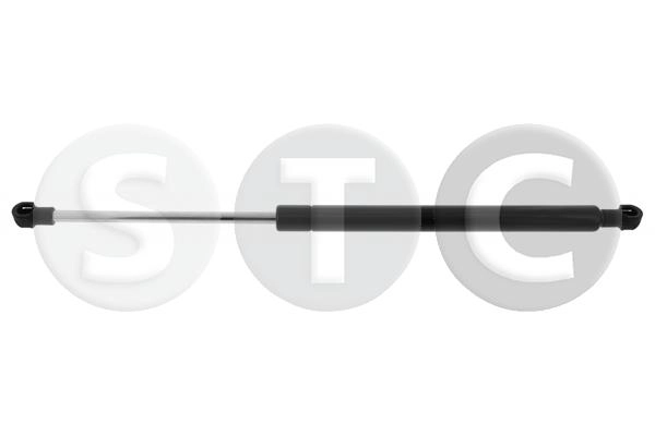 T446875