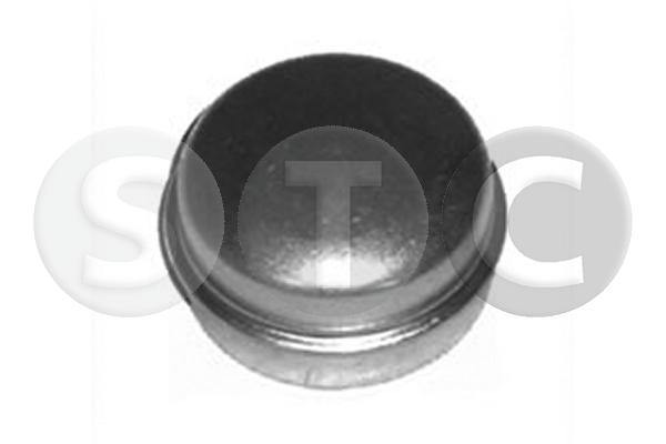 T445137