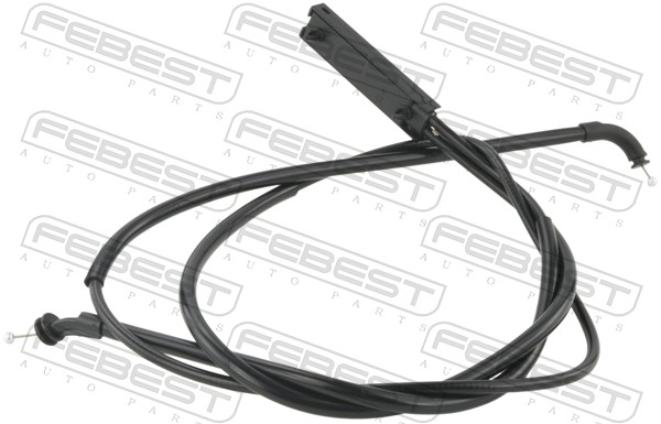 51237184456