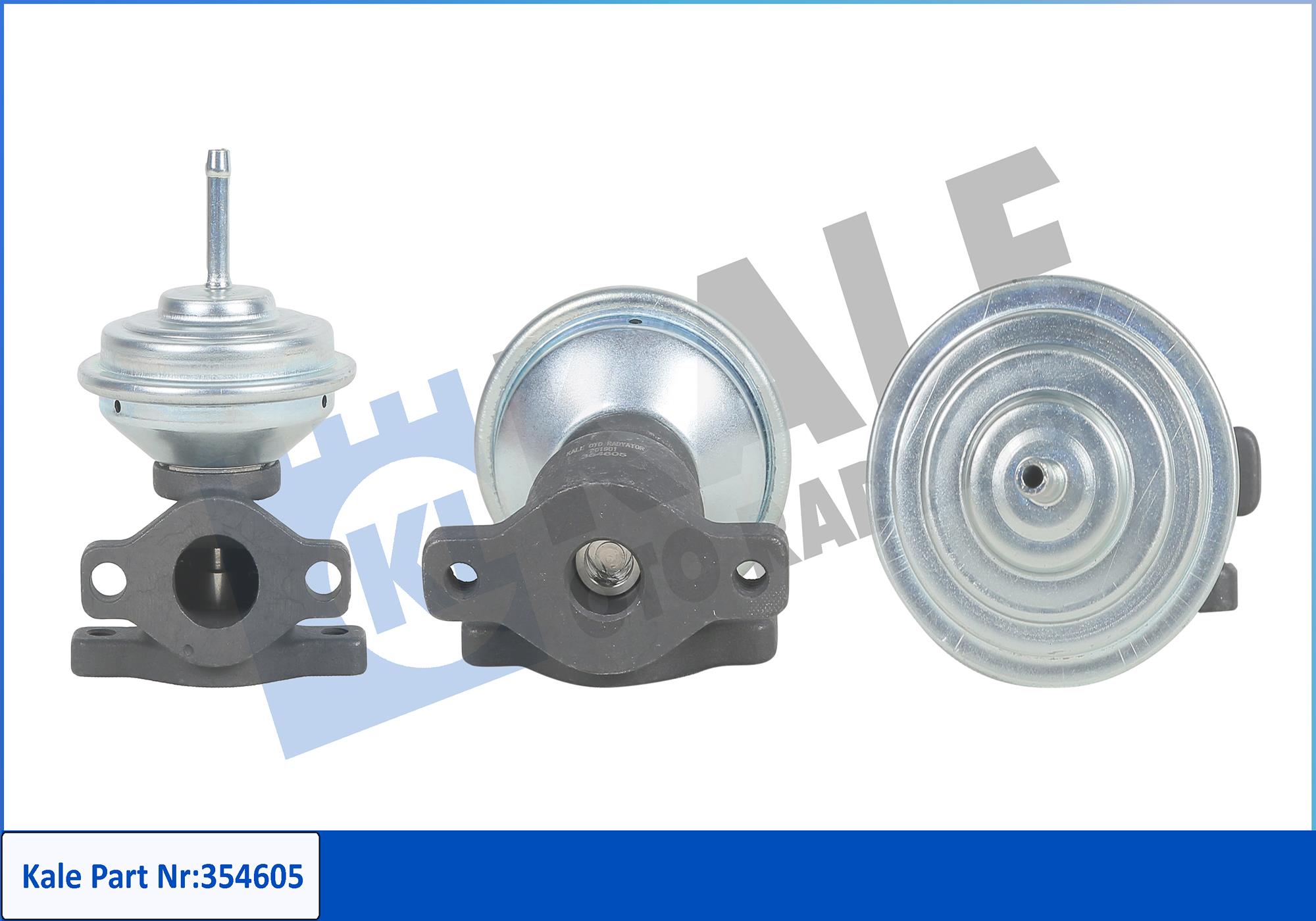 EG10271-12B1