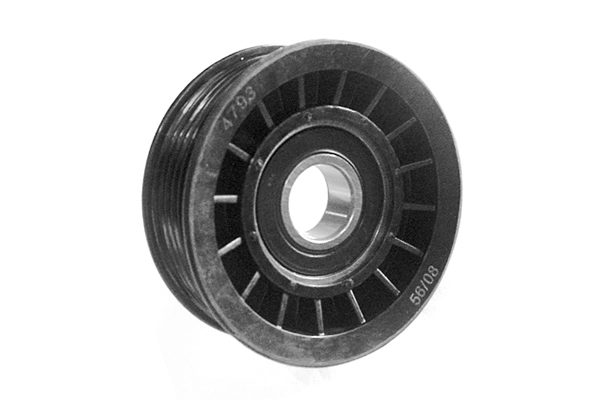 VKM 4793