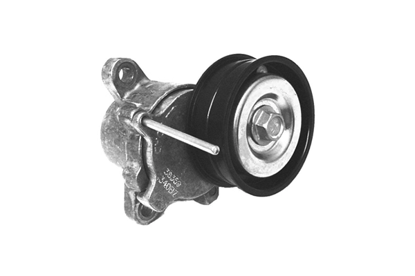 VKM 4752
