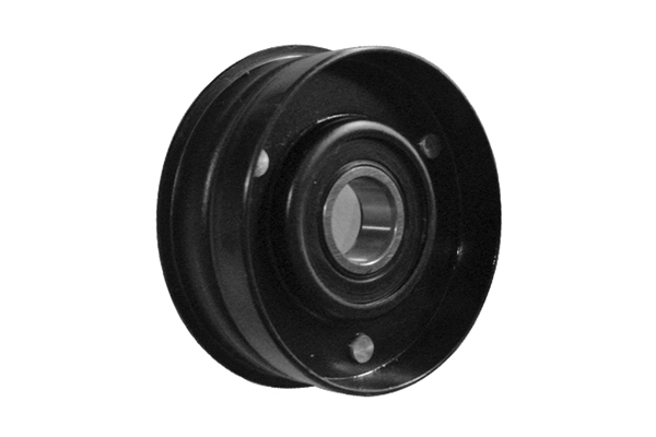 VKM 4822