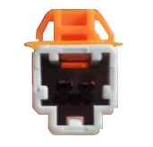 BI 25244 R