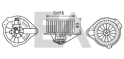8EW009157591