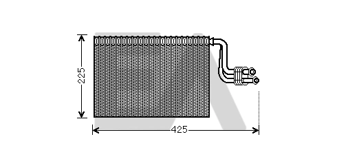 8FV351331261