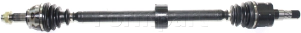 20380020/S