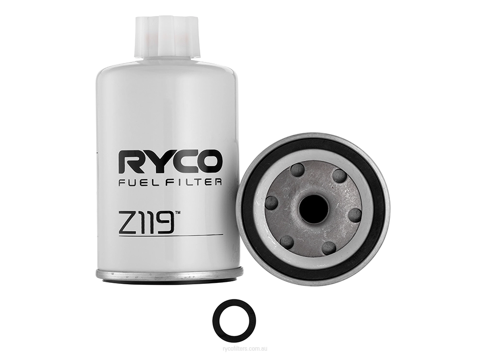 Z119