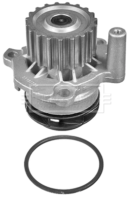 BWP1750